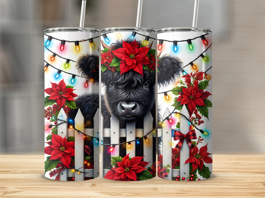 Black fluffy cow behind a fence with poinsettias and Christmas lights.