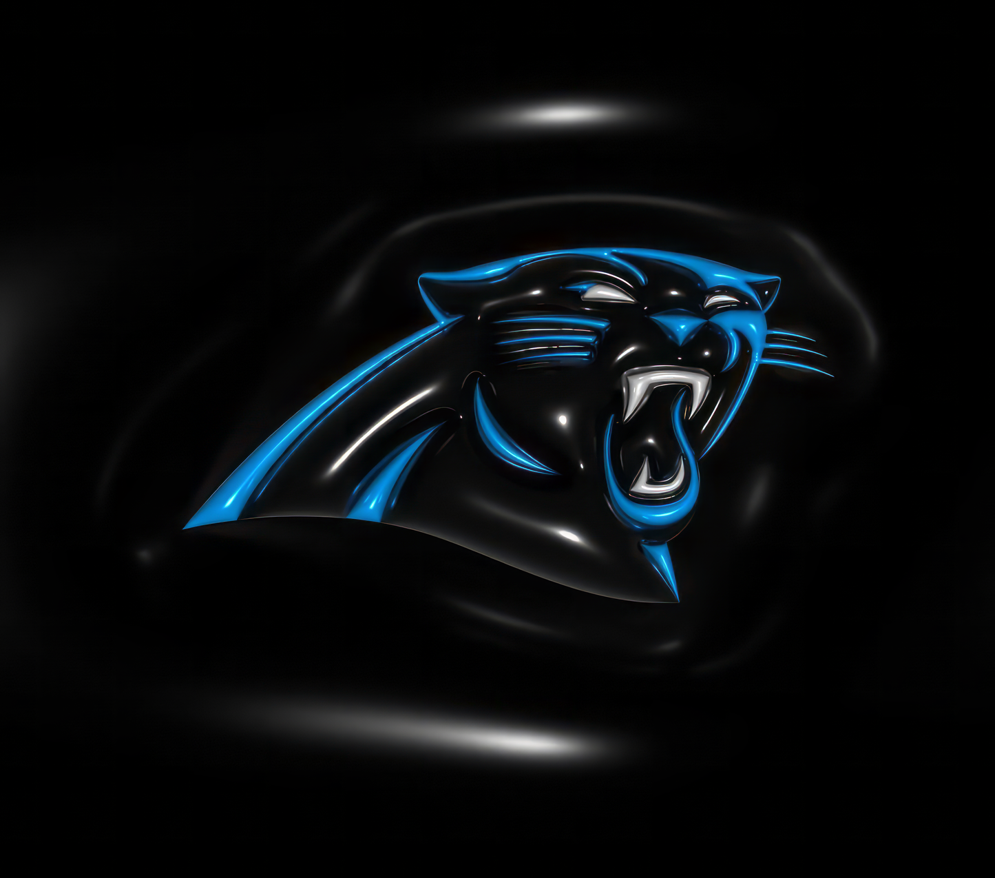 Carolina Panthers tumbler