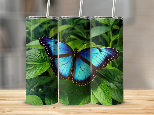 Blue butterfly on green leaves, featured on three tumblers.