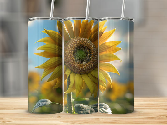 Close-up of a vibrant sunflower with blurred field in background.