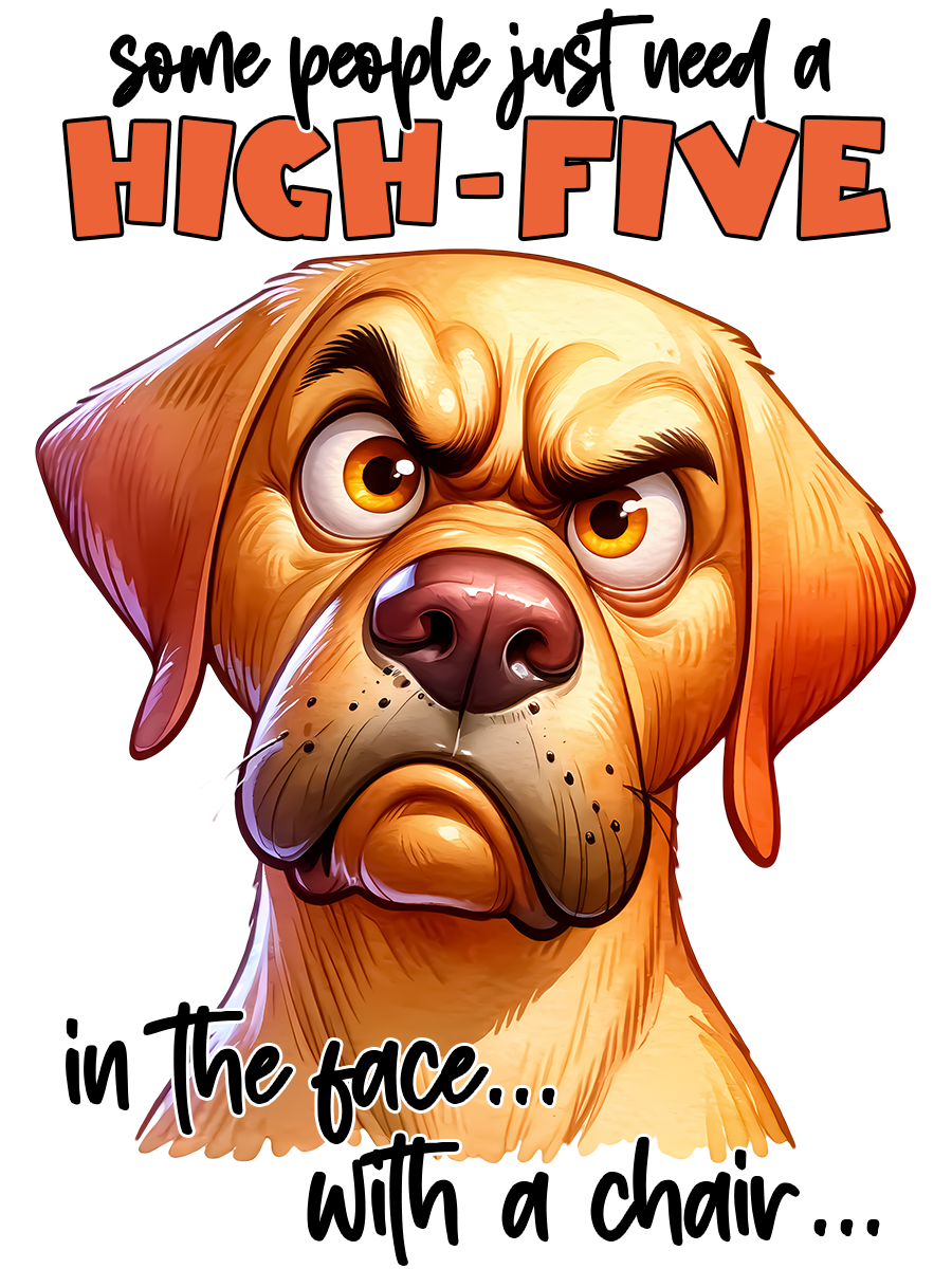 Some People Just Need a High-Five to the face with a chair angry dig