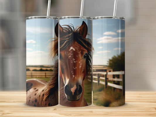 Brown horse head with white blaze on speckled body, outdoors.