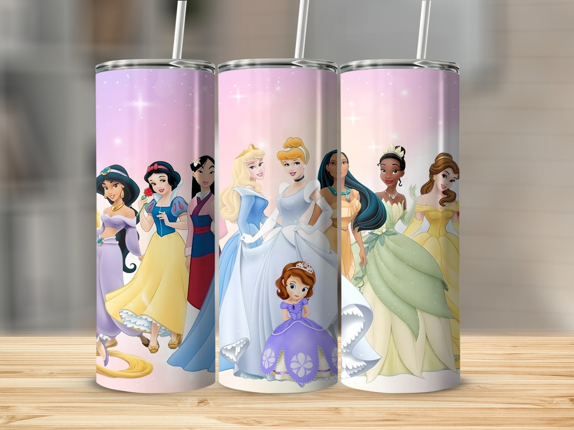Disney Princess Characters with Pink Background Tumbler