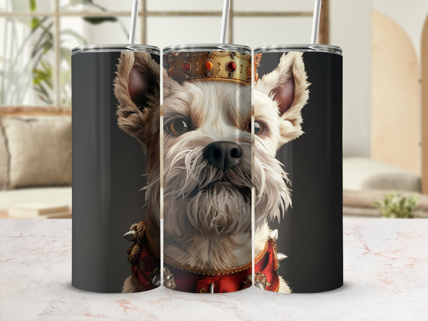 Yorkshire Terrier wearing a crown and ornate red collar.