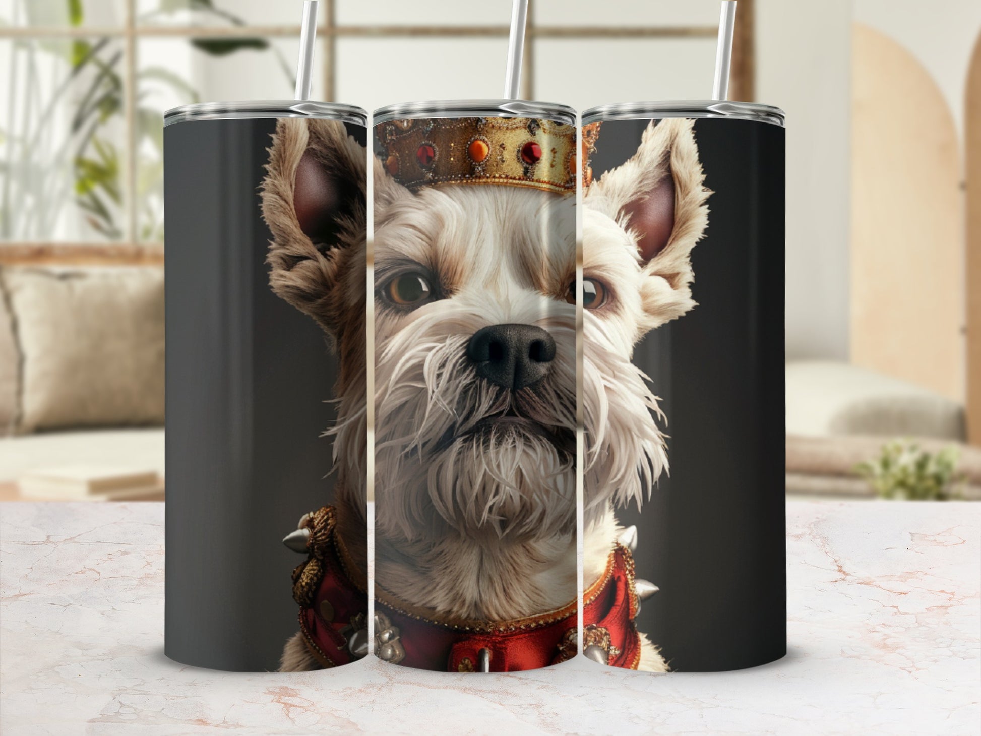 Yorkshire Terrier wearing a crown and ornate red collar.