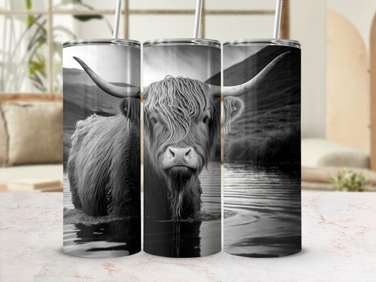 Highland cow with long horns standing in water.