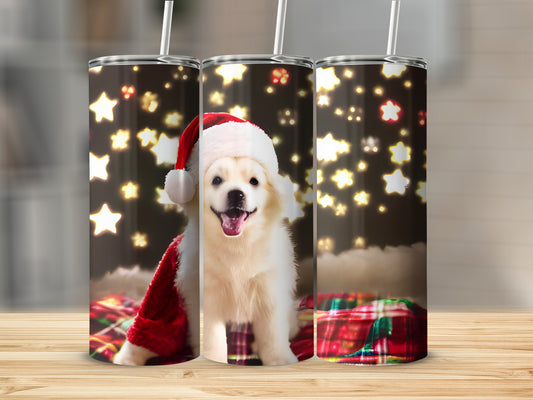 Fluffy white dog in Santa hat with Christmas lights.