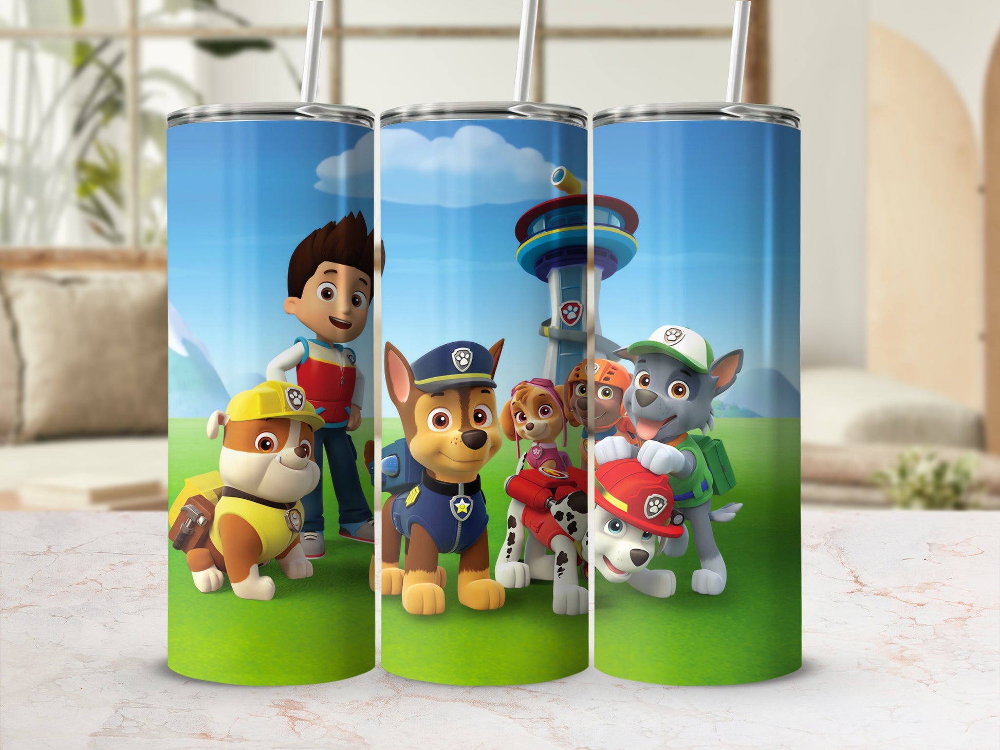 Paw Patrol Heroes Insulated Stainless Steel Tumbler