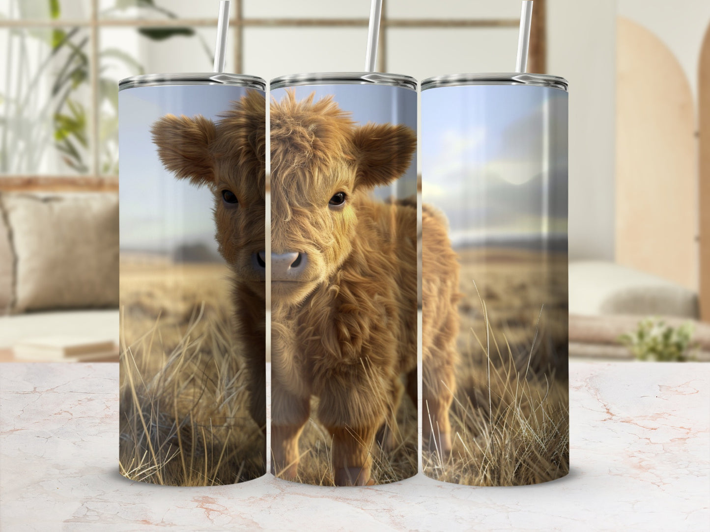 Fluffy baby Highland cow standing in a field of dry grass.