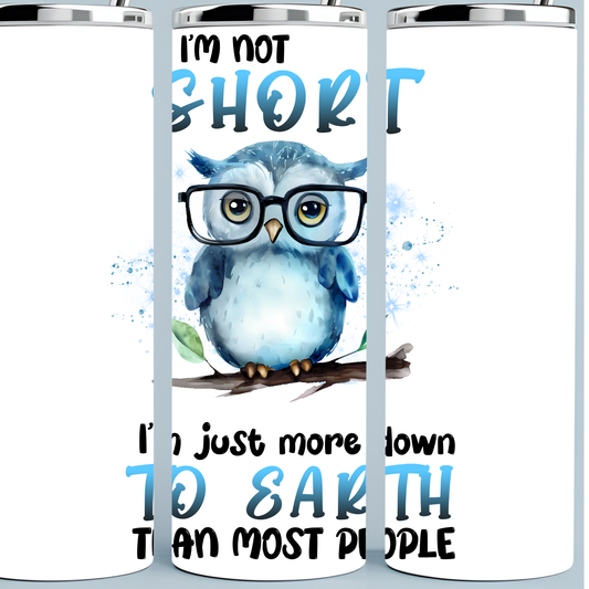 I'm Not Short I am Just More Down to Earth tumbler