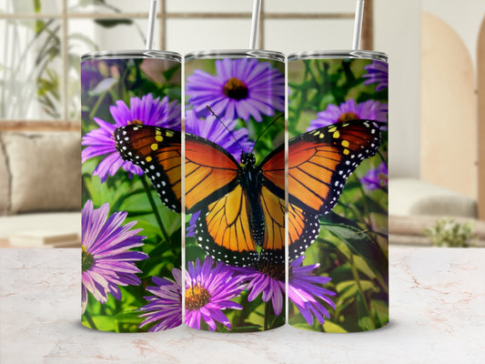 Monarch butterfly on purple aster flowers.