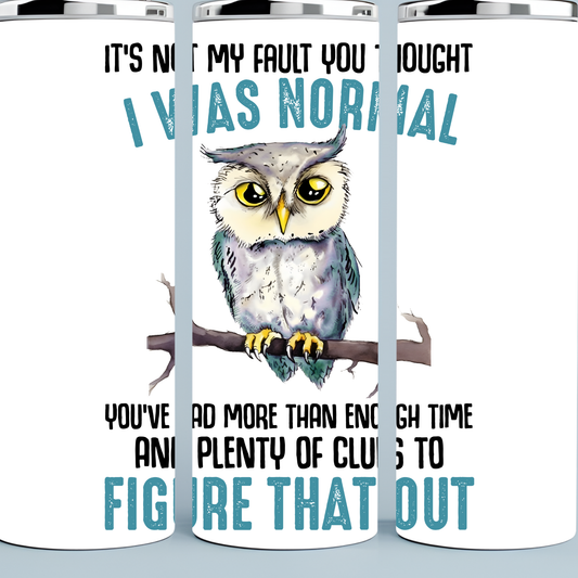 It's Not My Fault You Thought I was Normal