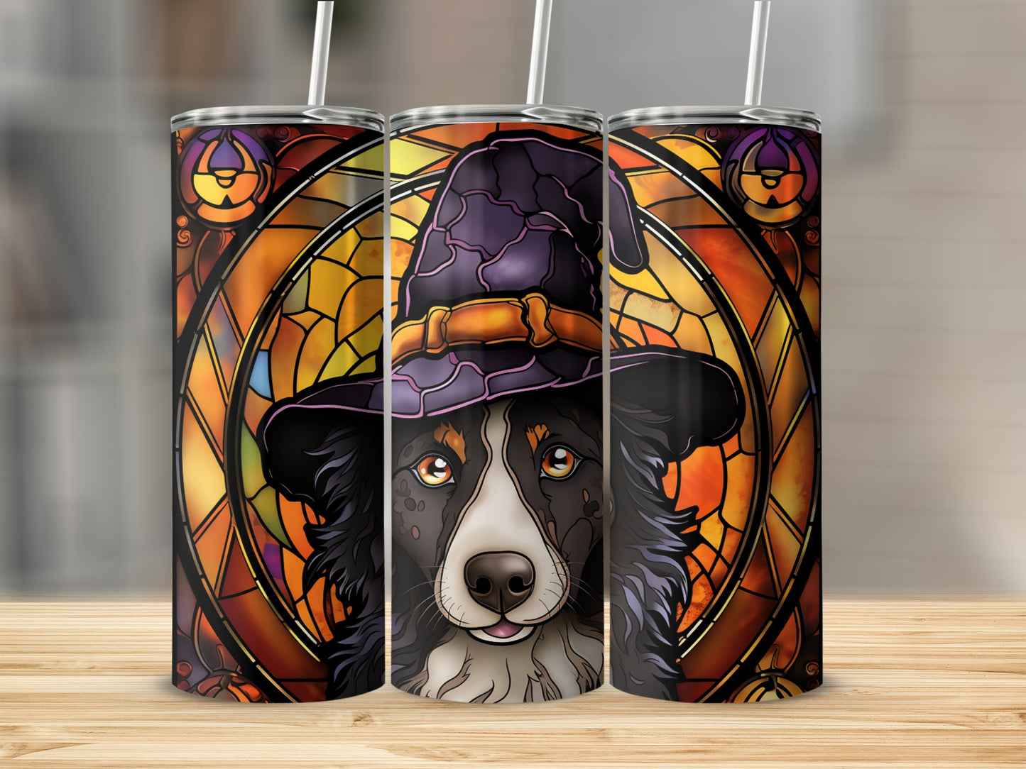 Border collie in witch hat with stained glass pattern.