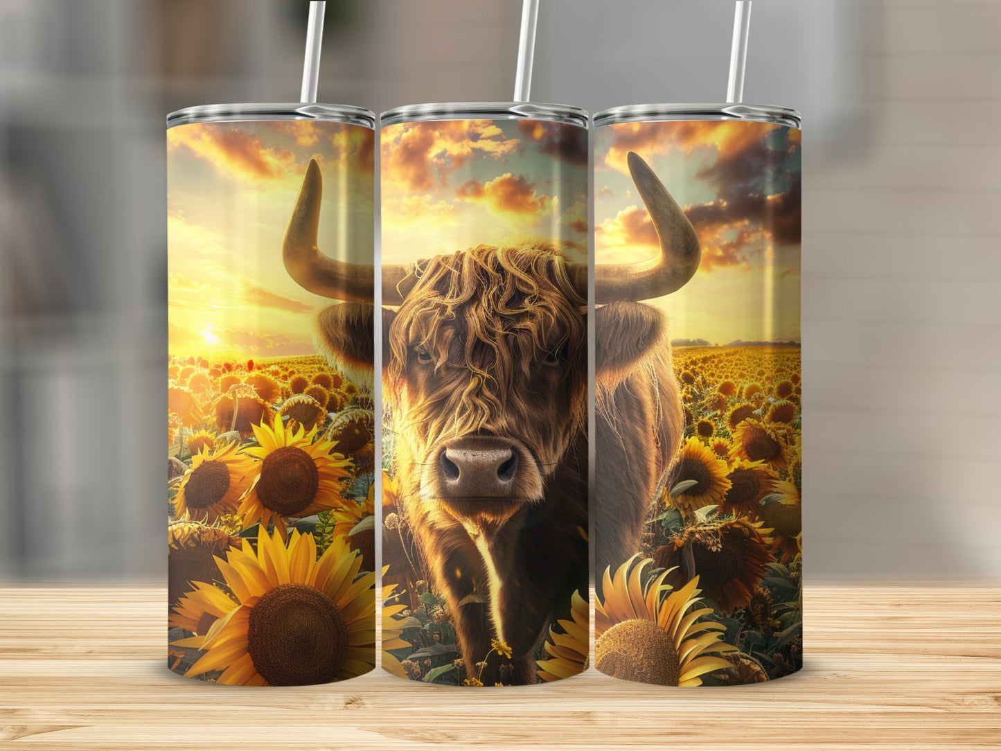 Highland cow in sunflower field at sunset.