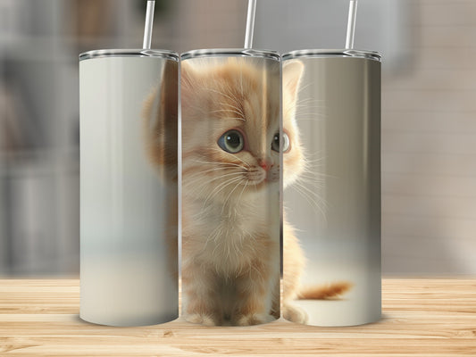 Fluffy orange kitten with blue eyes on a white background.