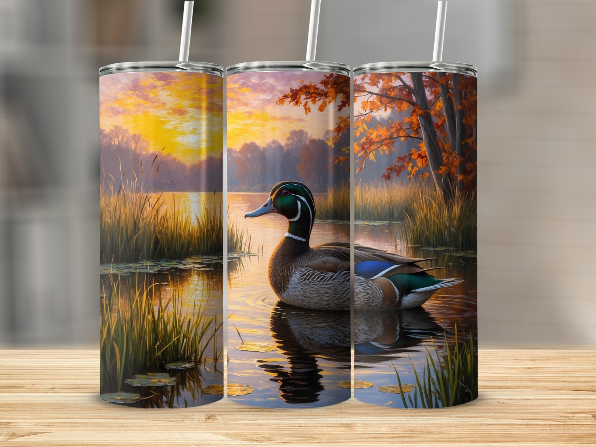 Mallard duck in calm water with autumn trees and sunset background.