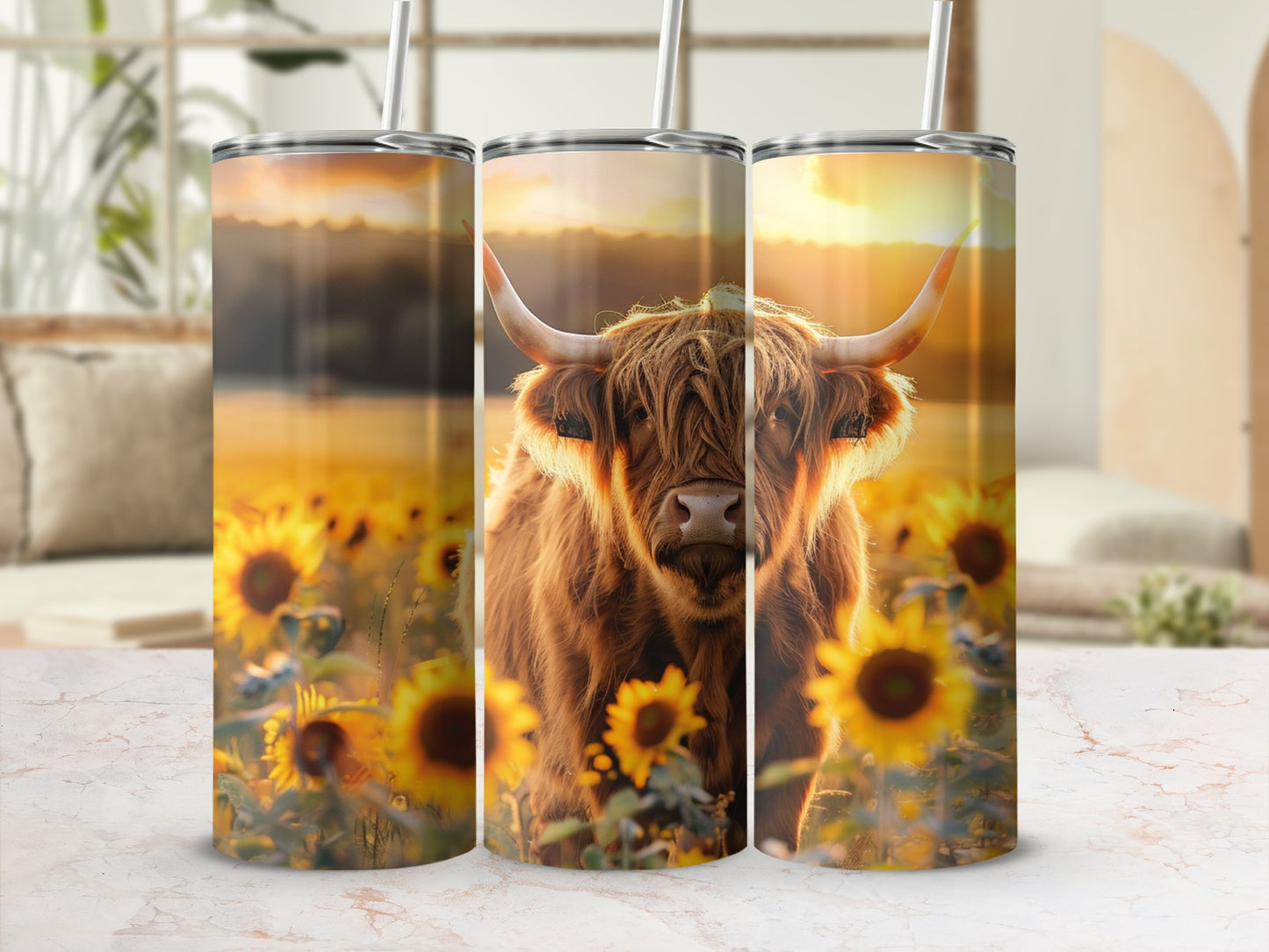 Highland cow in a sunflower field at sunset, on three tumblers.