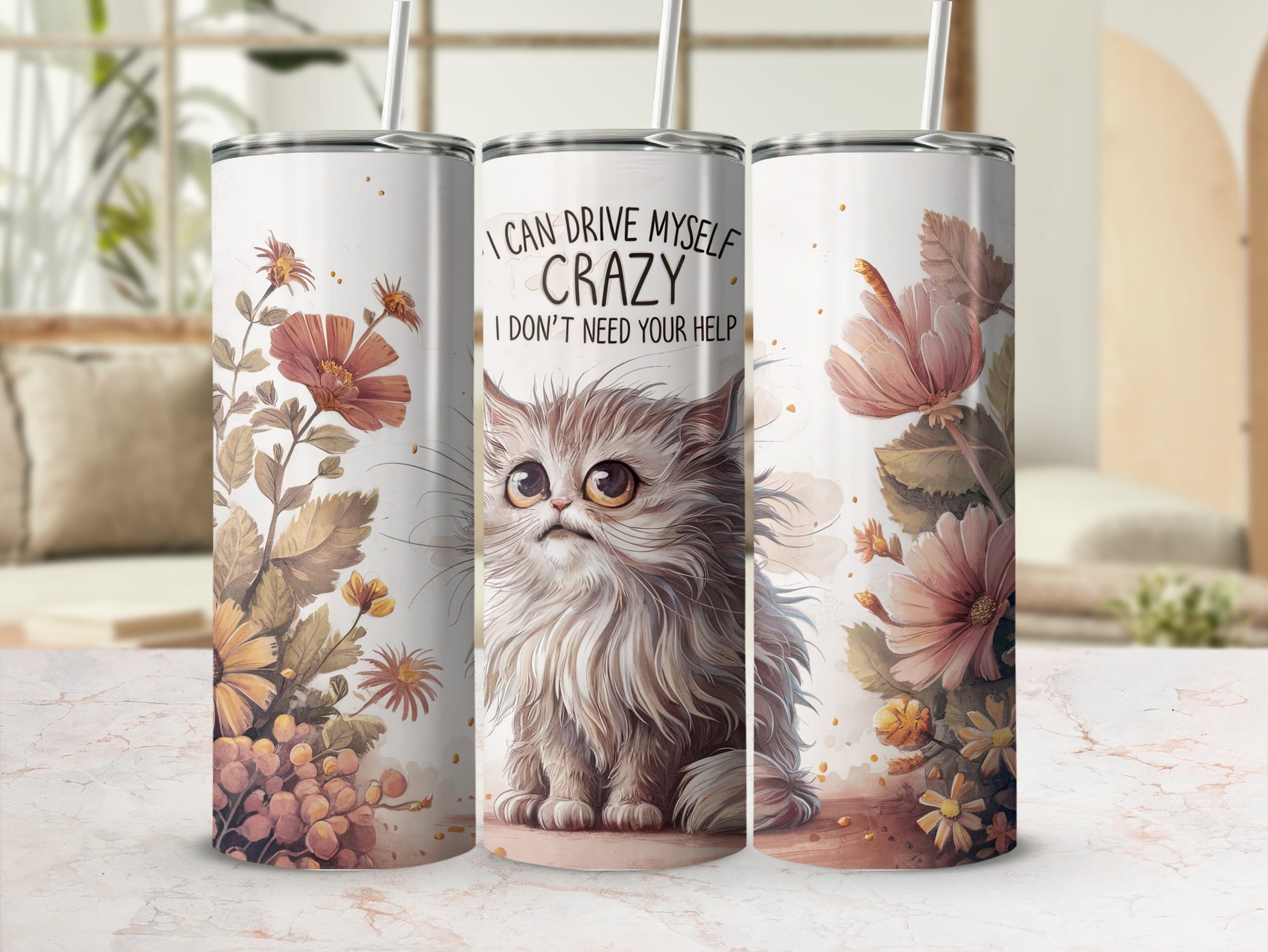 Fluffy cat with quote "I CAN DRIVE MYSELF CRAZY I DON'T NEED YOUR HELP".