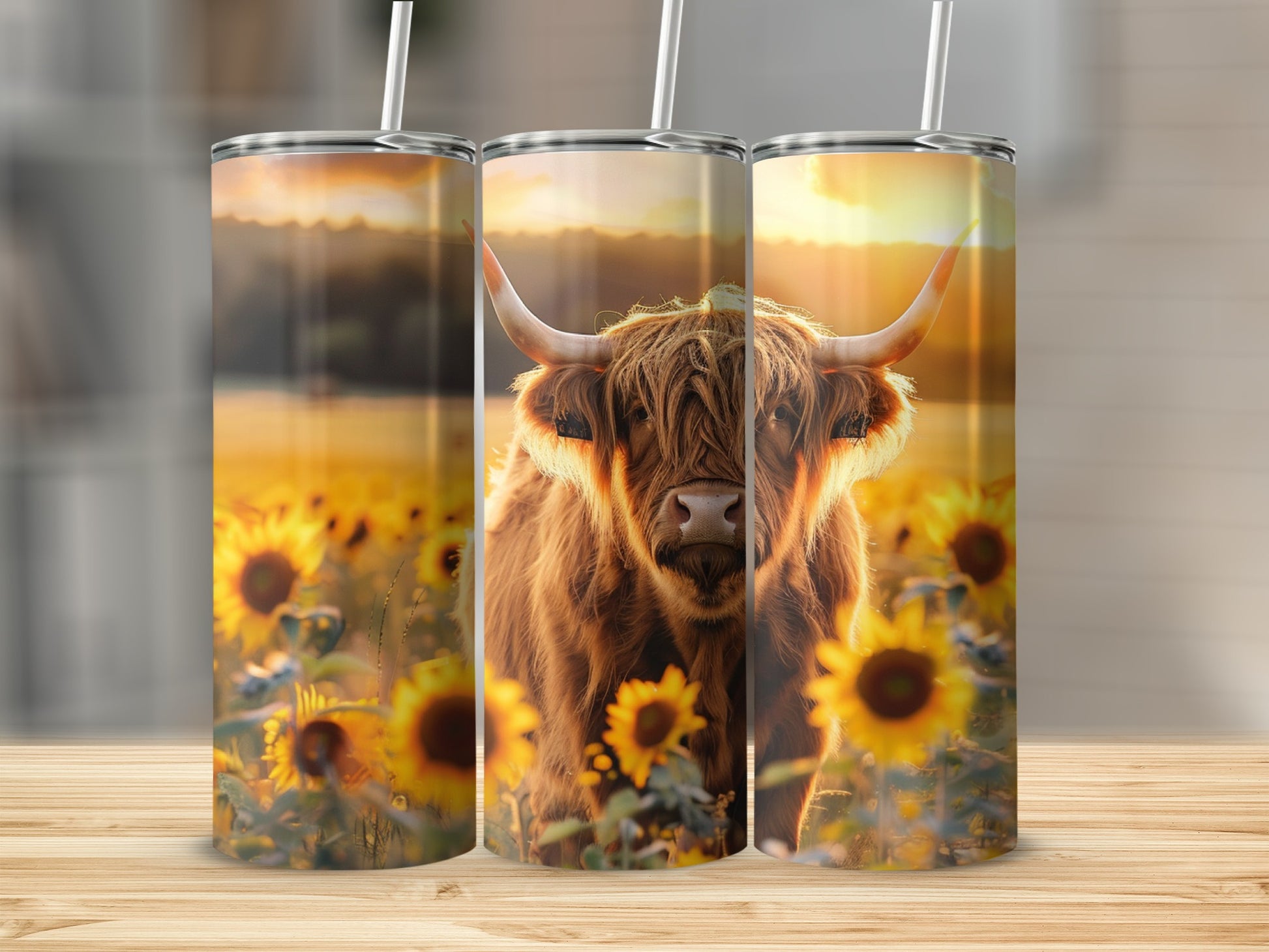 Highland cow in sunflower field on three tumblers.