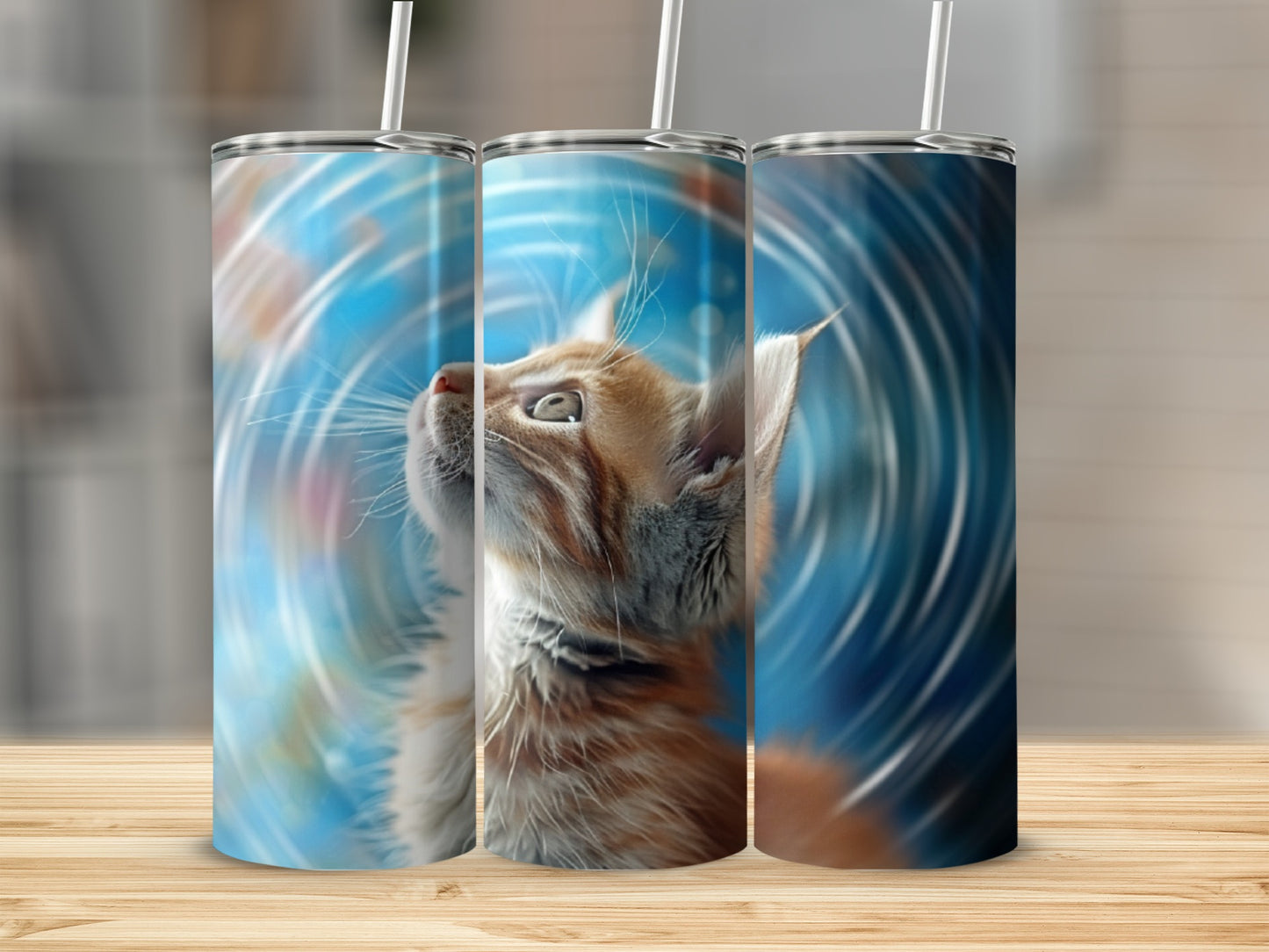 Three tumblers with orange tabby kitten looking up at blue swirling background.