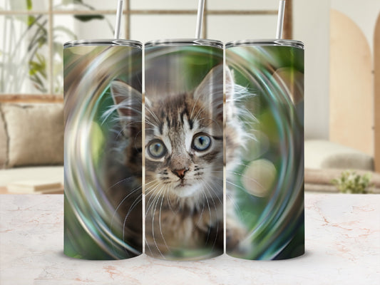 Tabby kitten peering out from behind a clear glass tumbler.