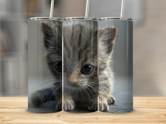 Triptych of a fluffy grey tabby kitten with large green eyes.