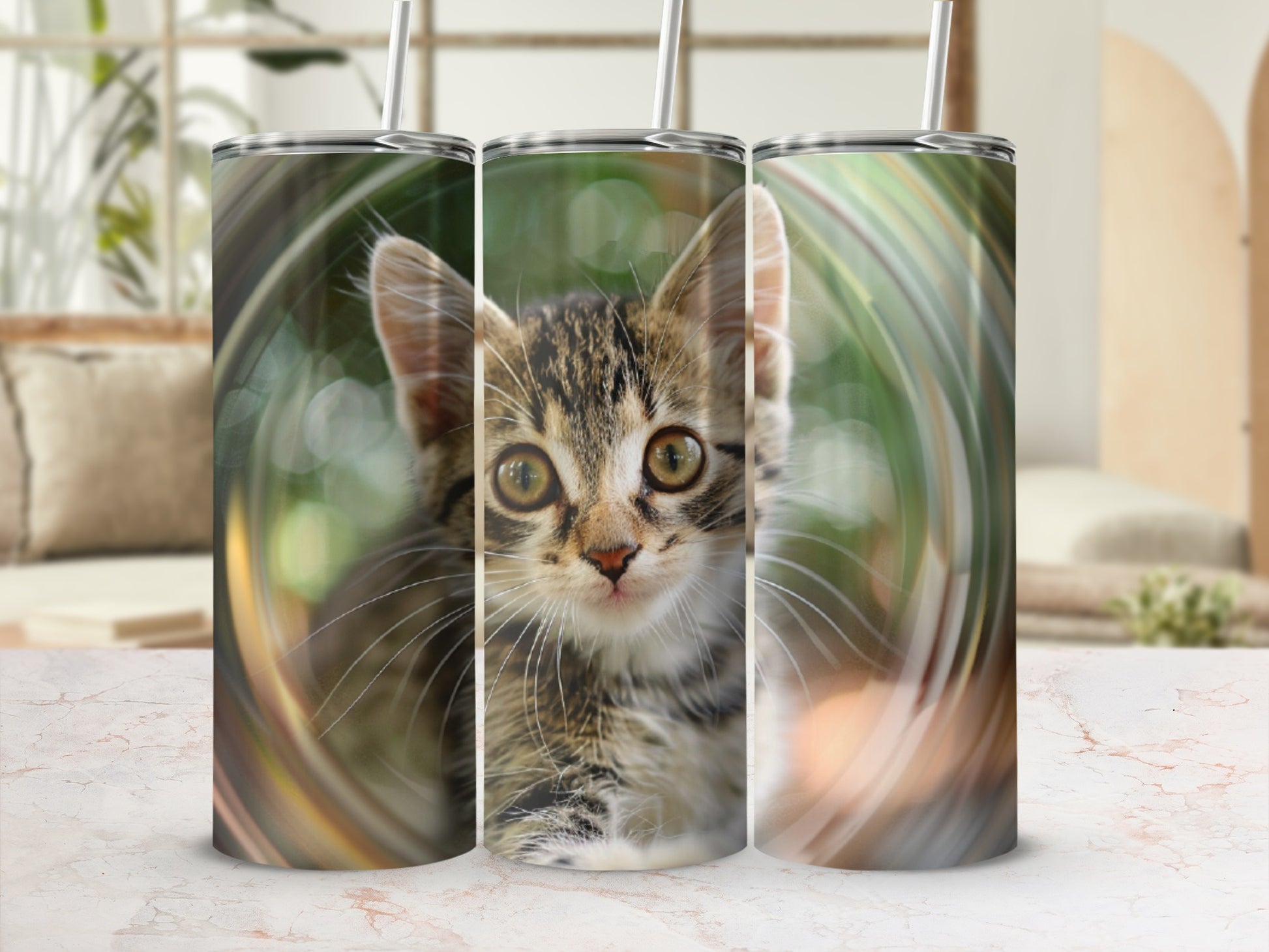 Close-up of a tabby kitten's face on three cylindrical tumblers.