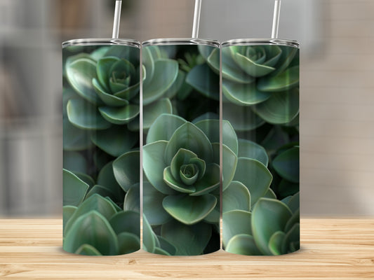 Three tumblers display a close-up pattern of green succulent leaves.