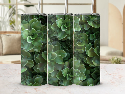 Three tall tumblers with succulent plant pattern, displayed on a marble surface.