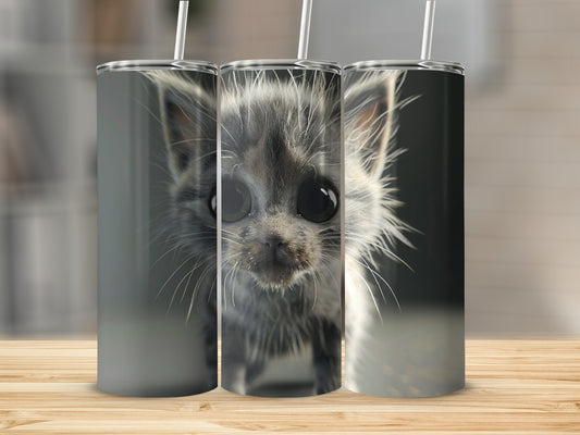 Close-up of a fluffy grey kitten with large eyes on a tumbler.