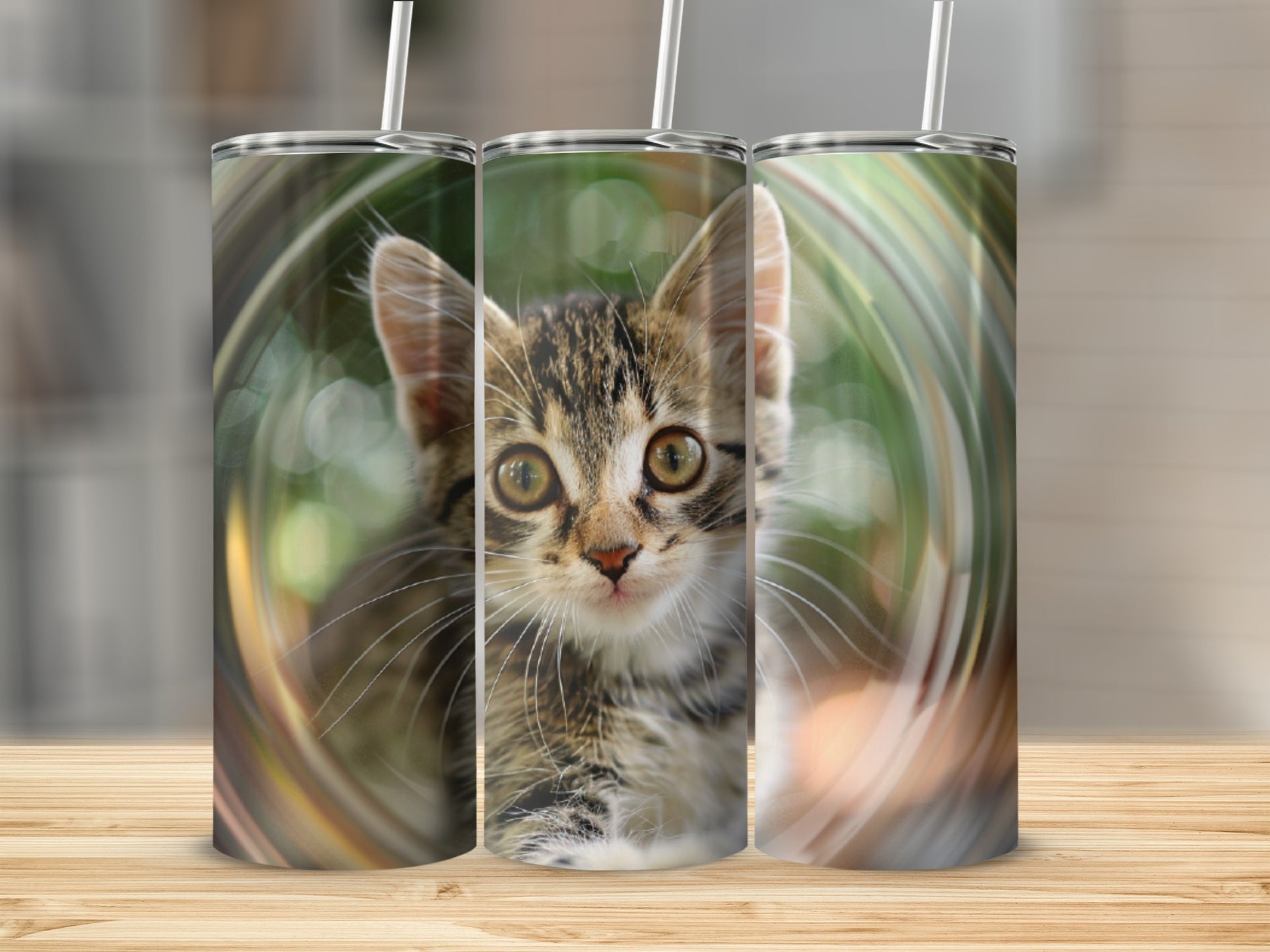 Kitten peeking through a blurred circular frame on three tumblers.