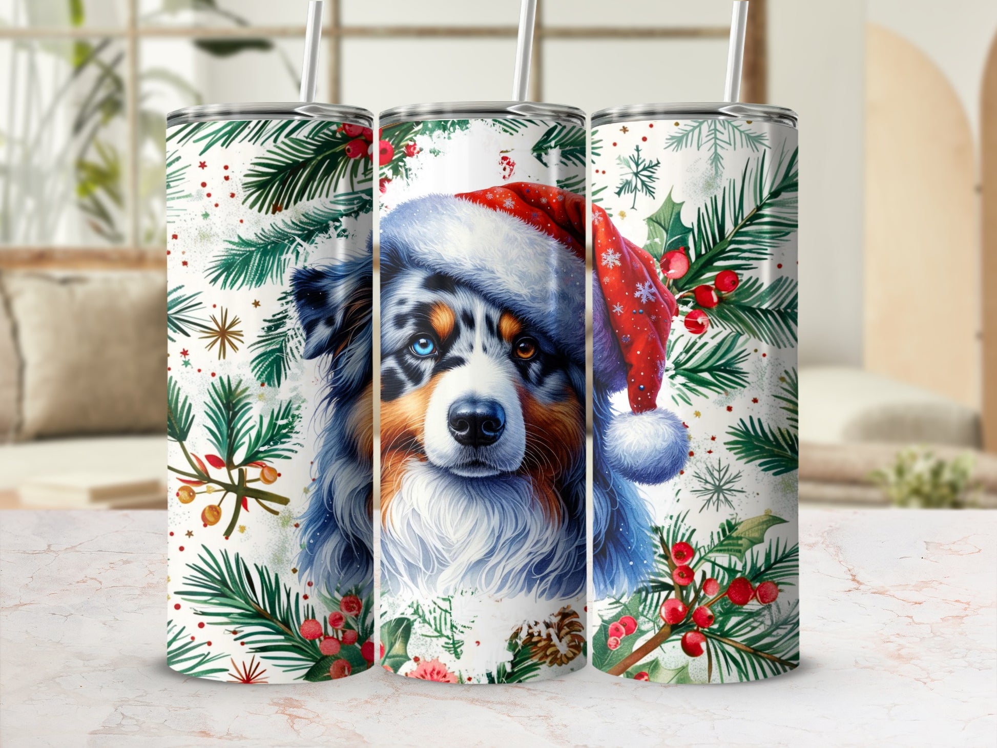 Australian Shepherd dog in Santa hat on holiday tumbler with pine boughs.