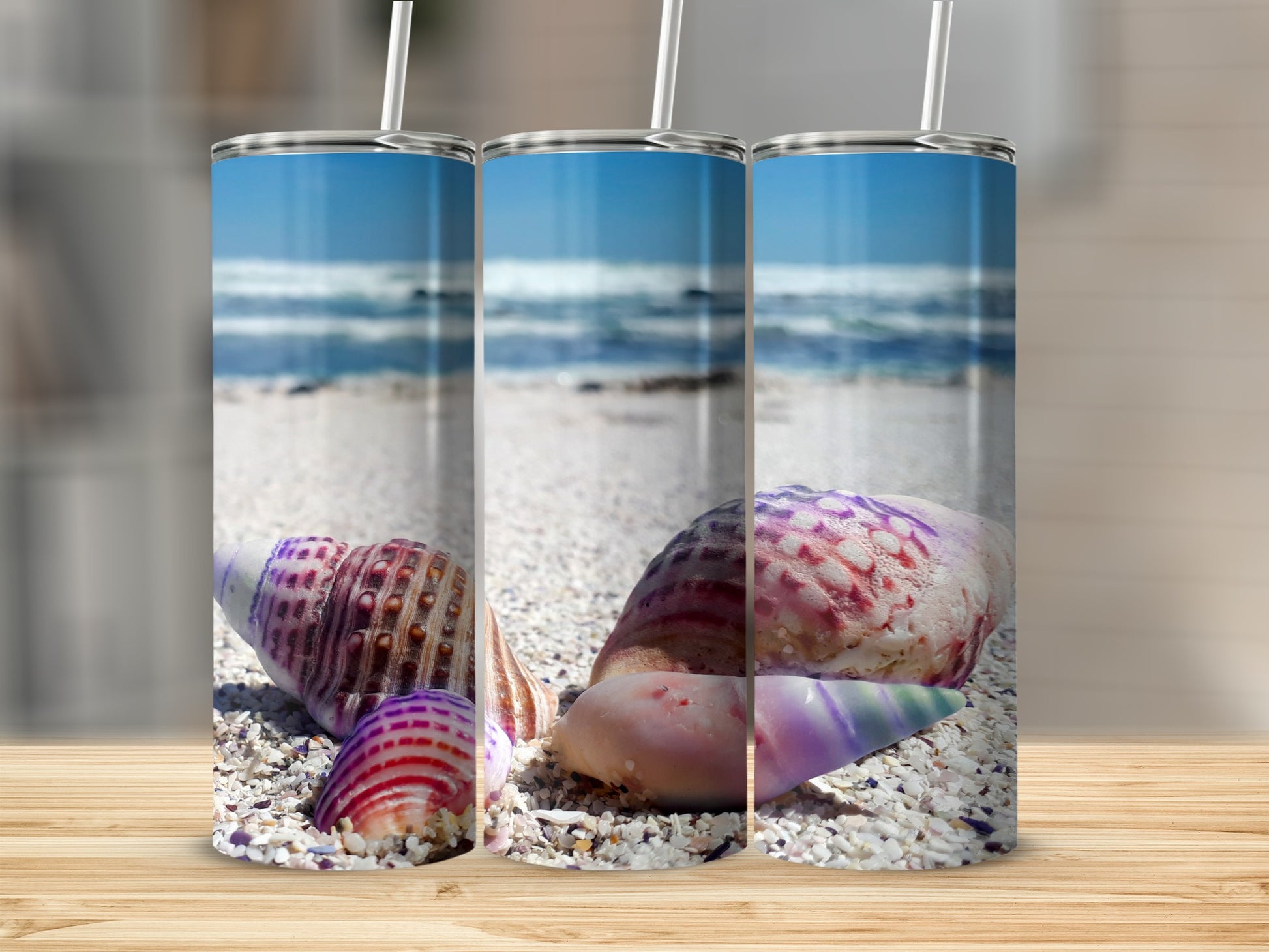 Beach Scene Shells Patterned Tumblers