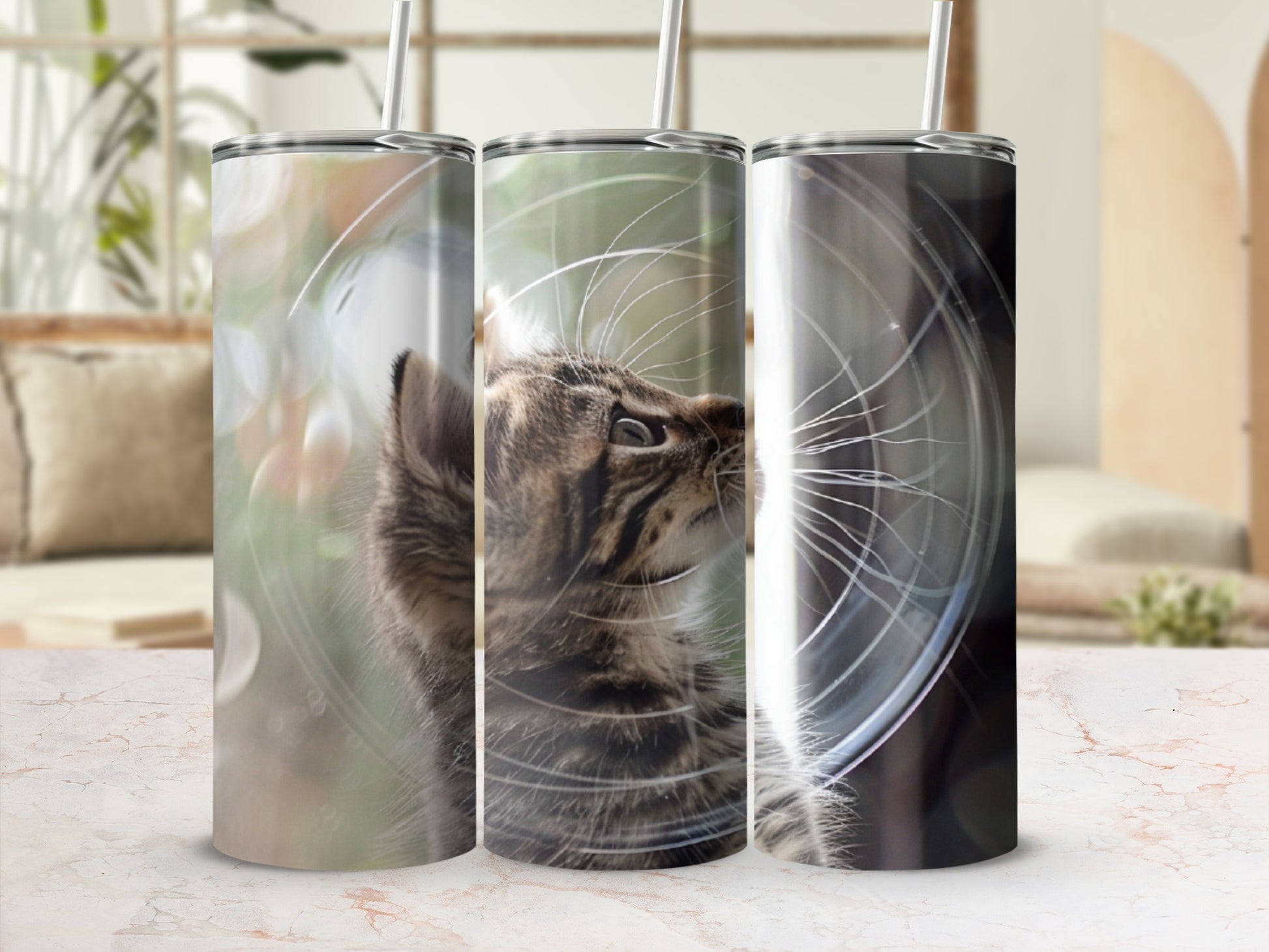 Three tumblers featuring a tabby cat's face and ears with a blurred background.